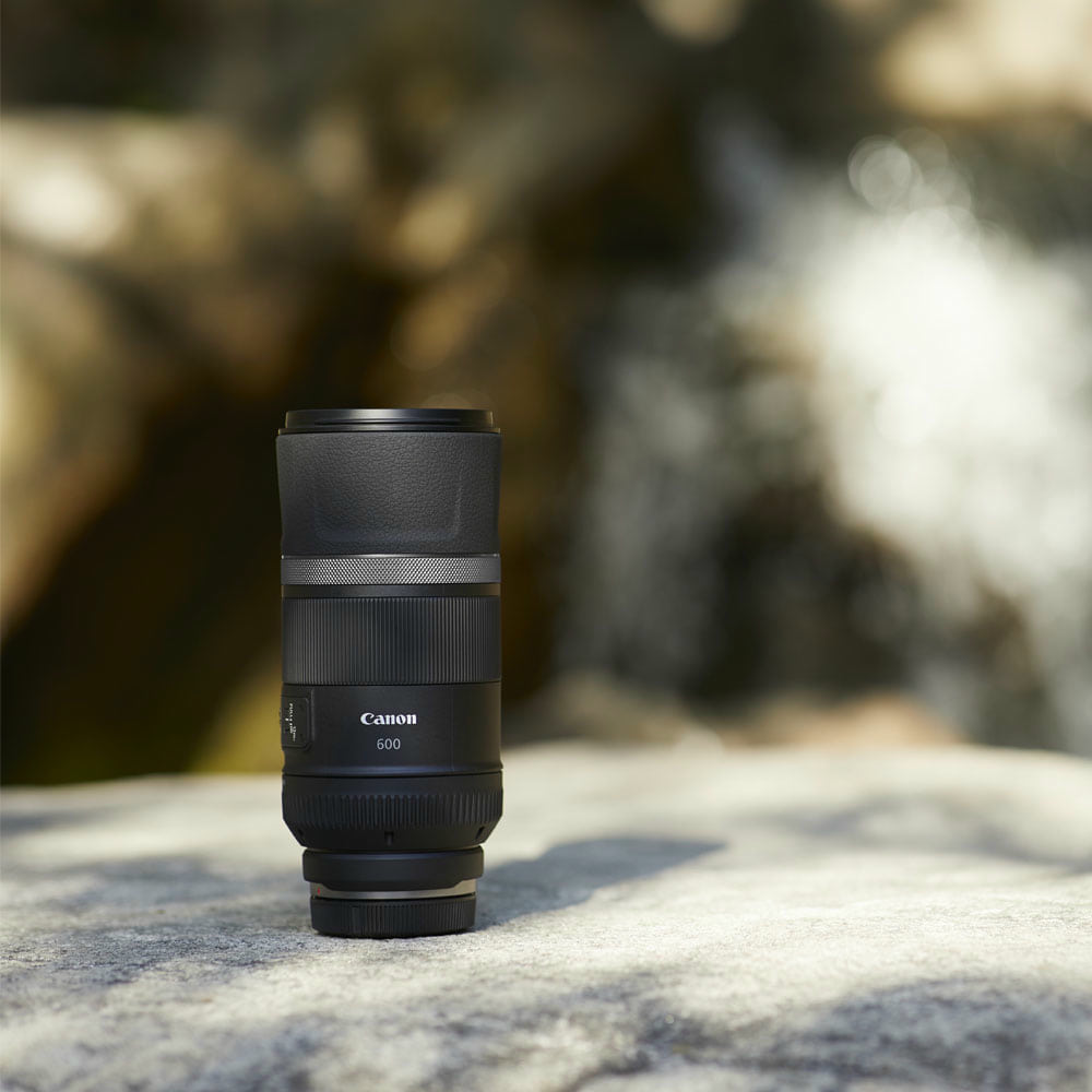 Canon_RF_600mm_04.jpg
