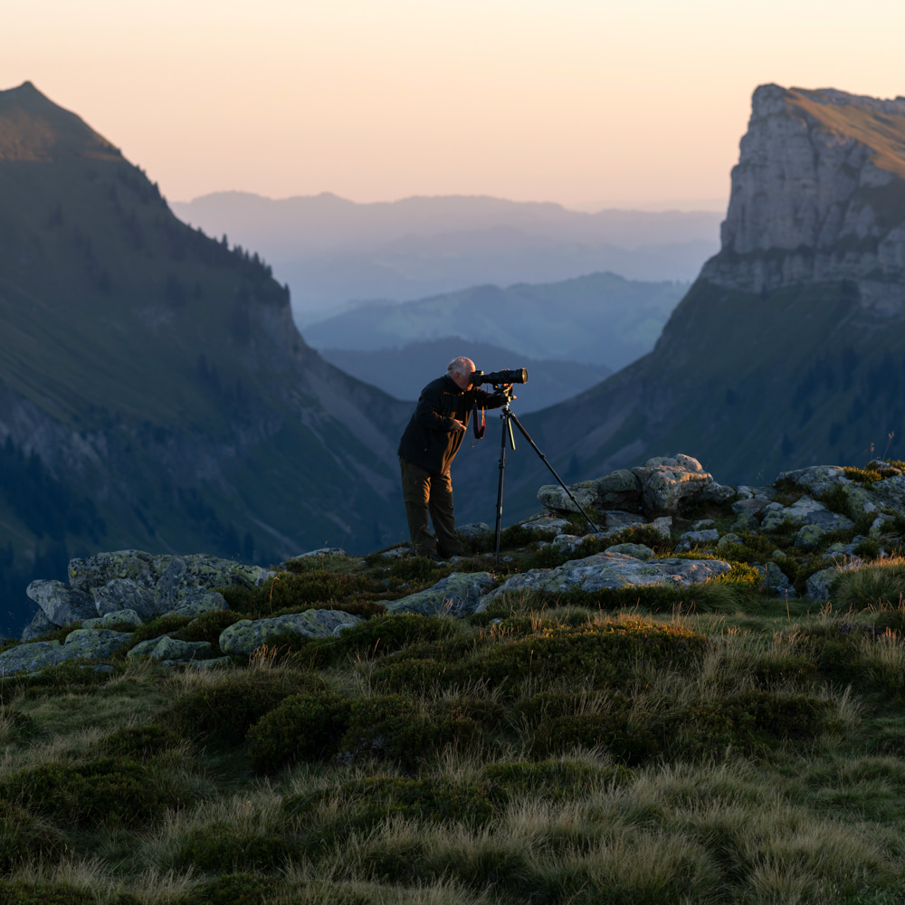 Niederhorn-18_3.jpg