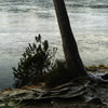 Etang_de_Gruere-8_1.jpg