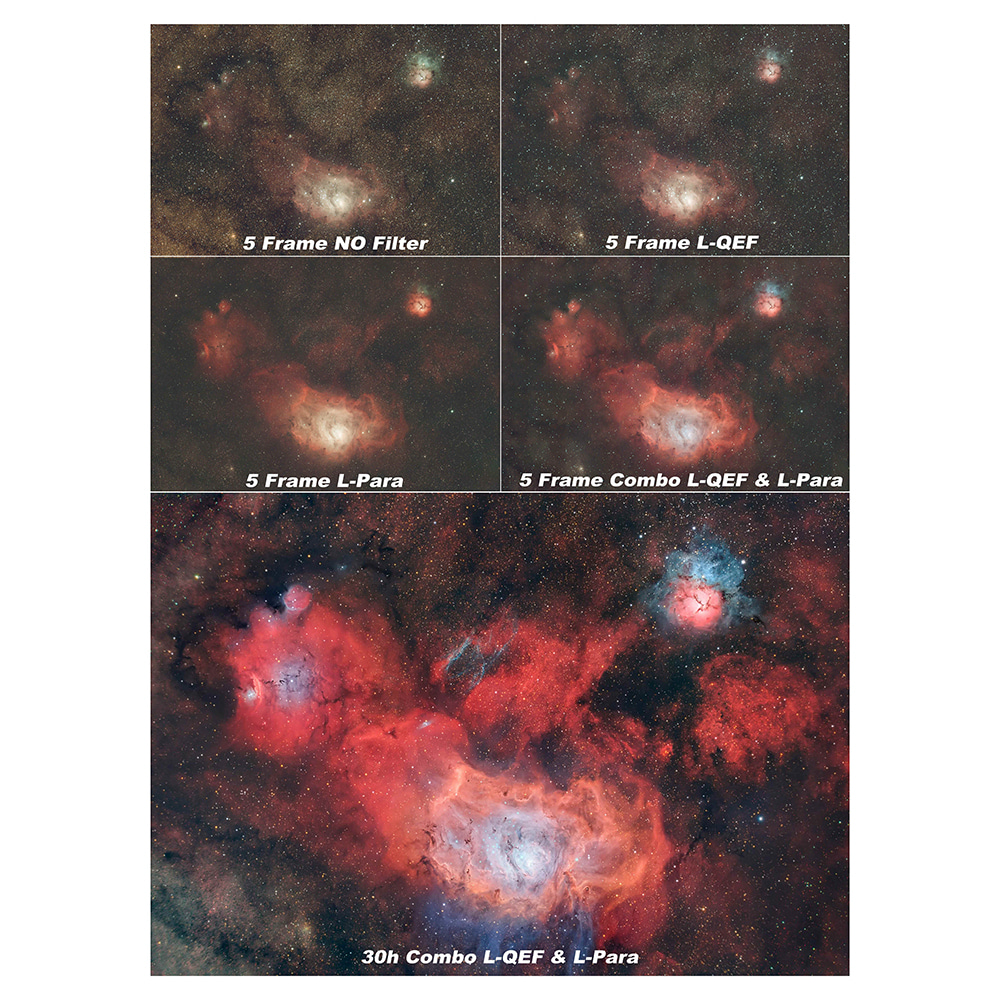 L-QE & L-Para combo test image.jpg