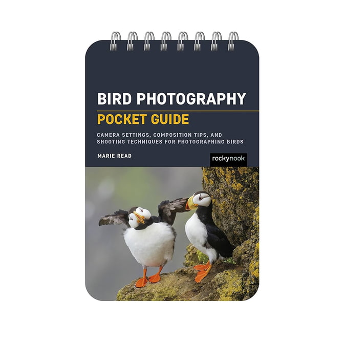 RockyNook_BirdPhotography.jpg