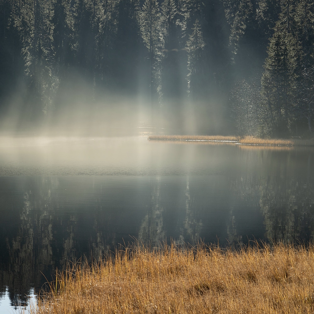 etang_7.jpg