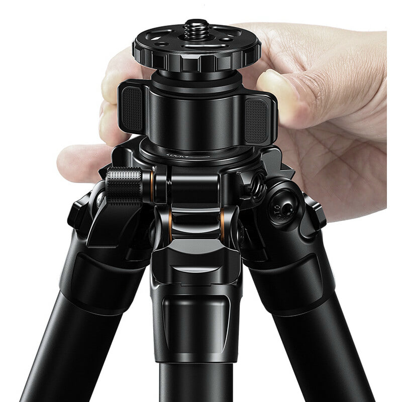 76098_4.jpg
