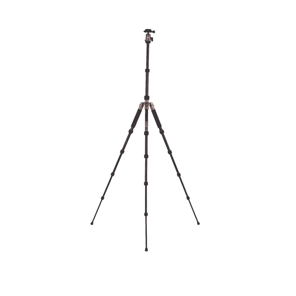 22579_CT_No1_Orange_Carbon_NEU_2026_10 Kopie.jpg