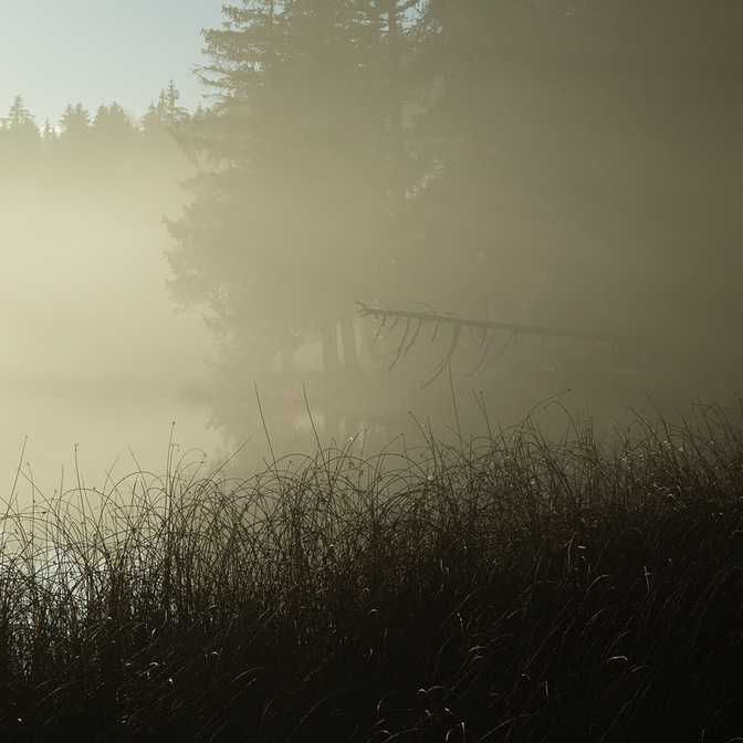etang_3_10.jpg