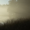 etang_3_10.jpg