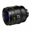 DZO-SAP75MPL-001.jpg