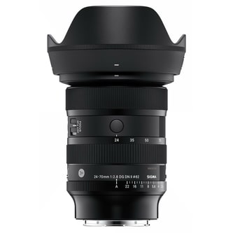 Sigma_2470f2.8_II_Art.jpg