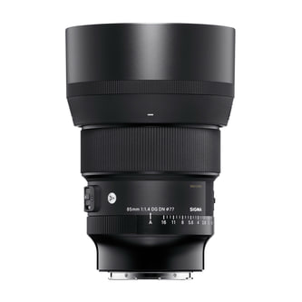 Sigma85mm14.jpg