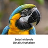 DE_SEL100400_06.jpg