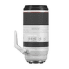 Canon_RF_100-500_03.jpg