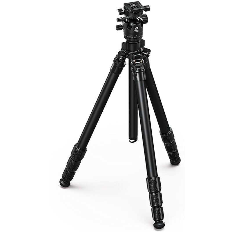 76098_1.jpg