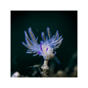 6976208960764-004.jpg