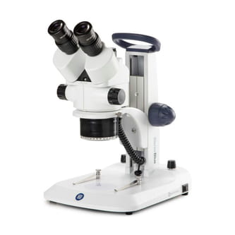 Euromex-Zoom-Stereomikroskop-Stereomikroskop-SB-3903-StereoBlue-0-7-4-5-Trino.jpg