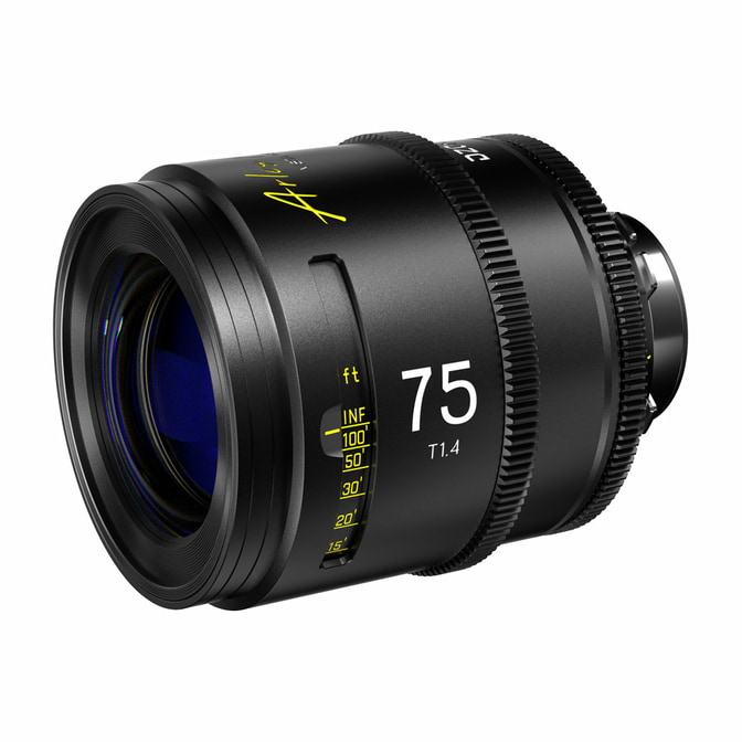 DZO-SAP75MPL-001.jpg