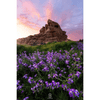 Sony Photowalk in St.Gallen mit Lukas Voegelin 14:00 - 15:30 Uhr