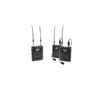 Deity Theos Digital Wireless 2ch Kit.jpg