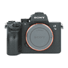 Sony A7 III_1.jpg