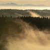 Wald_Frienisberg-20.jpg
