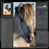 Lightroom_1_5_8.jpg