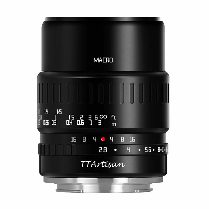 85.jpg