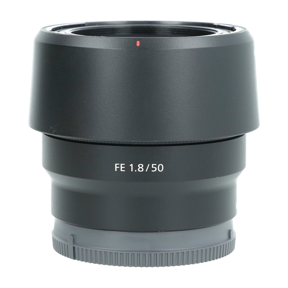 sonfe501.8_4.jpg