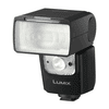 Panasonic Flash DMW-FL580LE.jpg