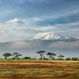 Fotoreise in die Serengeti | Die Big 5 in atemberaubender Natur