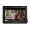 video-assist-7-12g-hdr.jpg