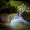 Kreative Fotografie mit ND- und Verlaufsfiltern | Park im Grünen - Grün 80