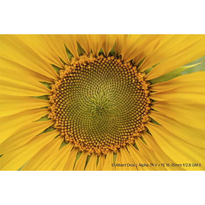 SEL1635GM2-5.jpg
