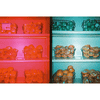 2026-04-30__CN__jane-fan__staff__zin-zhang__half-frame_simple-use-camera-classicolor-200-135-film__0