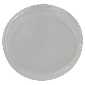 47443.jpg