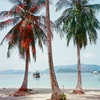 REVECHO-36-400-35-002.jpg