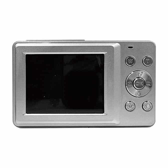 YAS-DG100P-SV-001.jpg