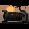 sony_24-70_GMII_03.jpg