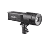 rs100-001.jpg