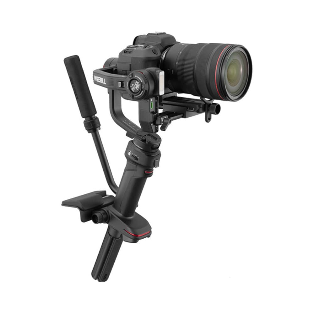weebill_3_4.jpg