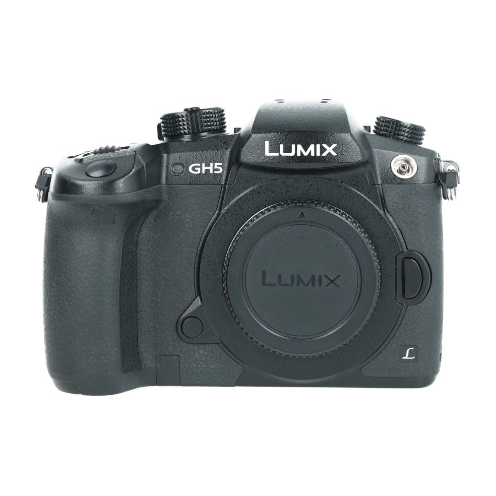 Panasinc Lumix GH5_1.jpg