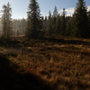 etang_10_5.jpg