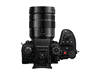 AB_141662_3.jpg