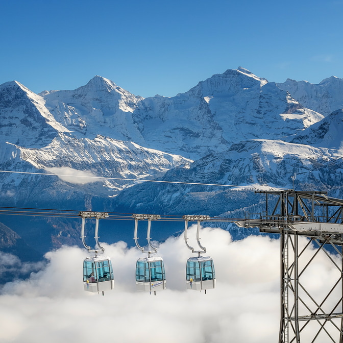 Niederhorn-37_2.jpg