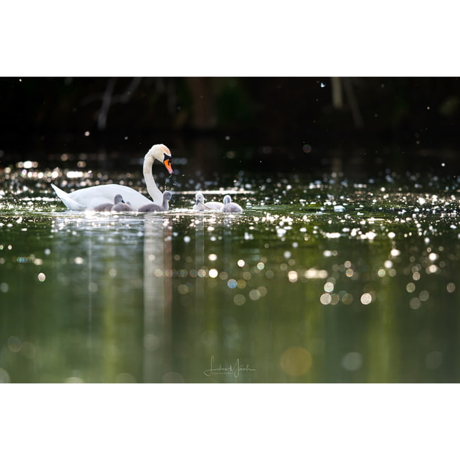 Photowalk_Sony_Lukas_Moesch_02.jpg