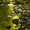 areuse_7_12.jpg
