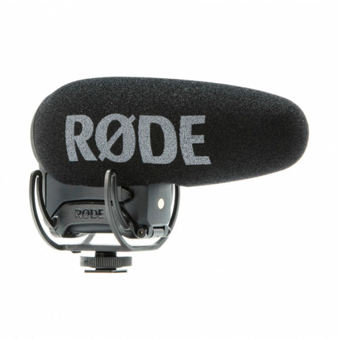 videomicpro1.jpg