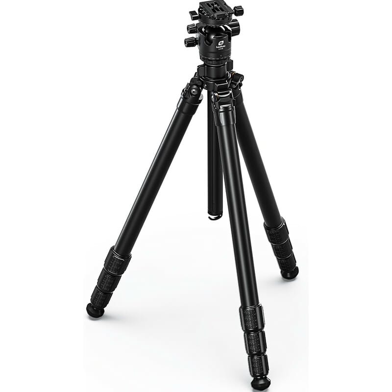 76099_1.jpg