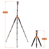 22579_CT_No1_Orange_Carbon_NEU_2026_06 Kopie.jpg