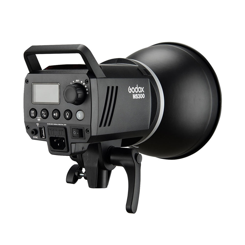 Godox MS300-D Kit_2.jpg
