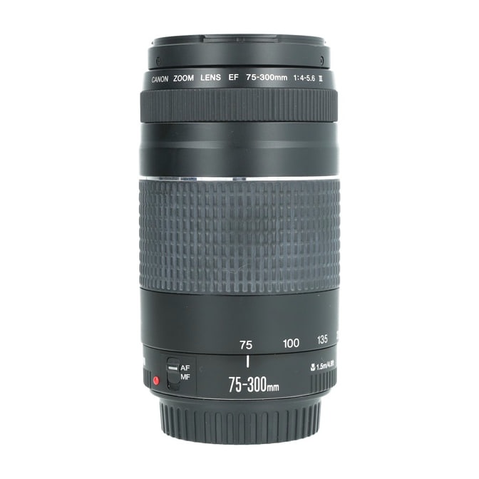 cef75300_1.jpg