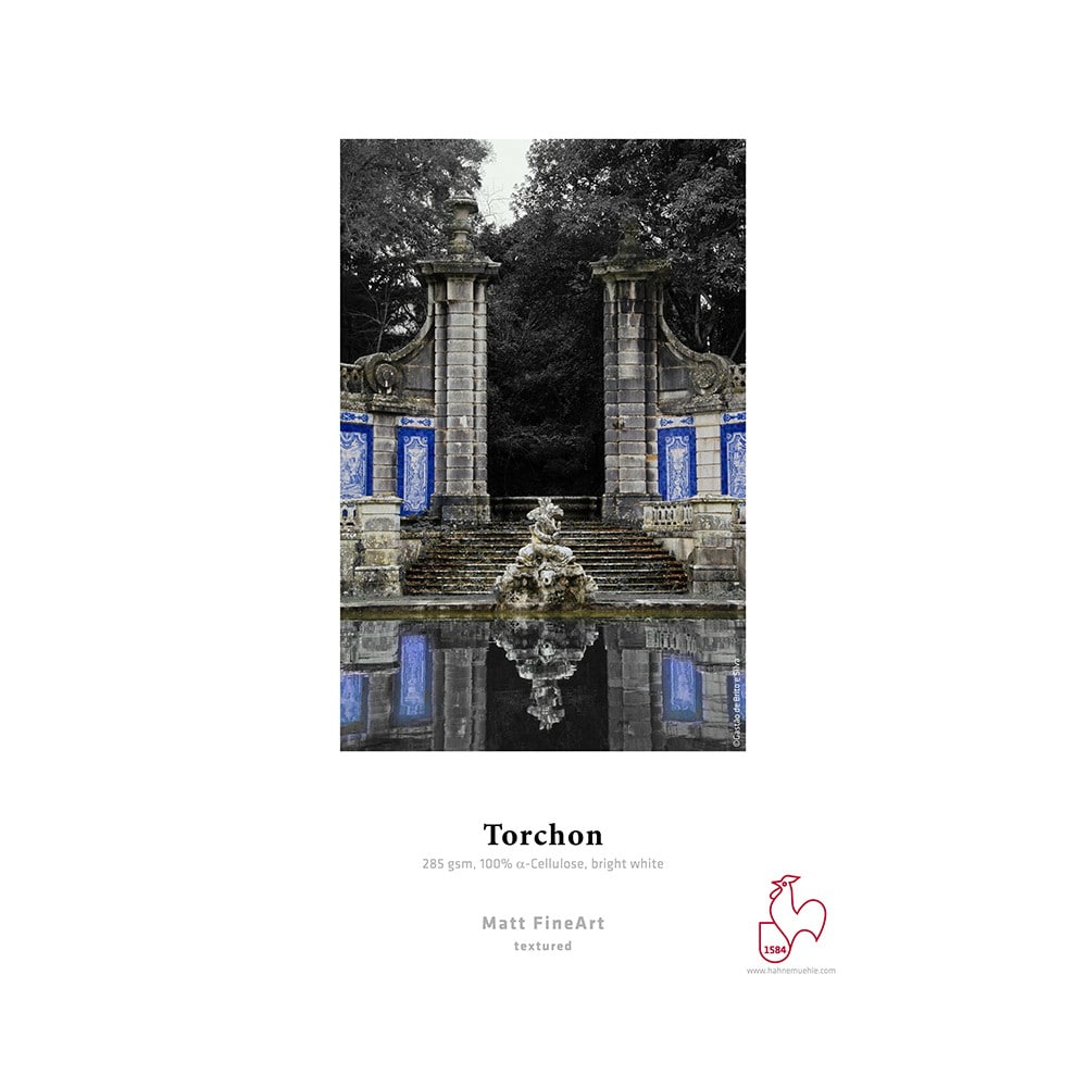 50847_3.jpeg